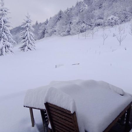 Apartmaji Borstner Vransko ภายนอก รูปภาพ