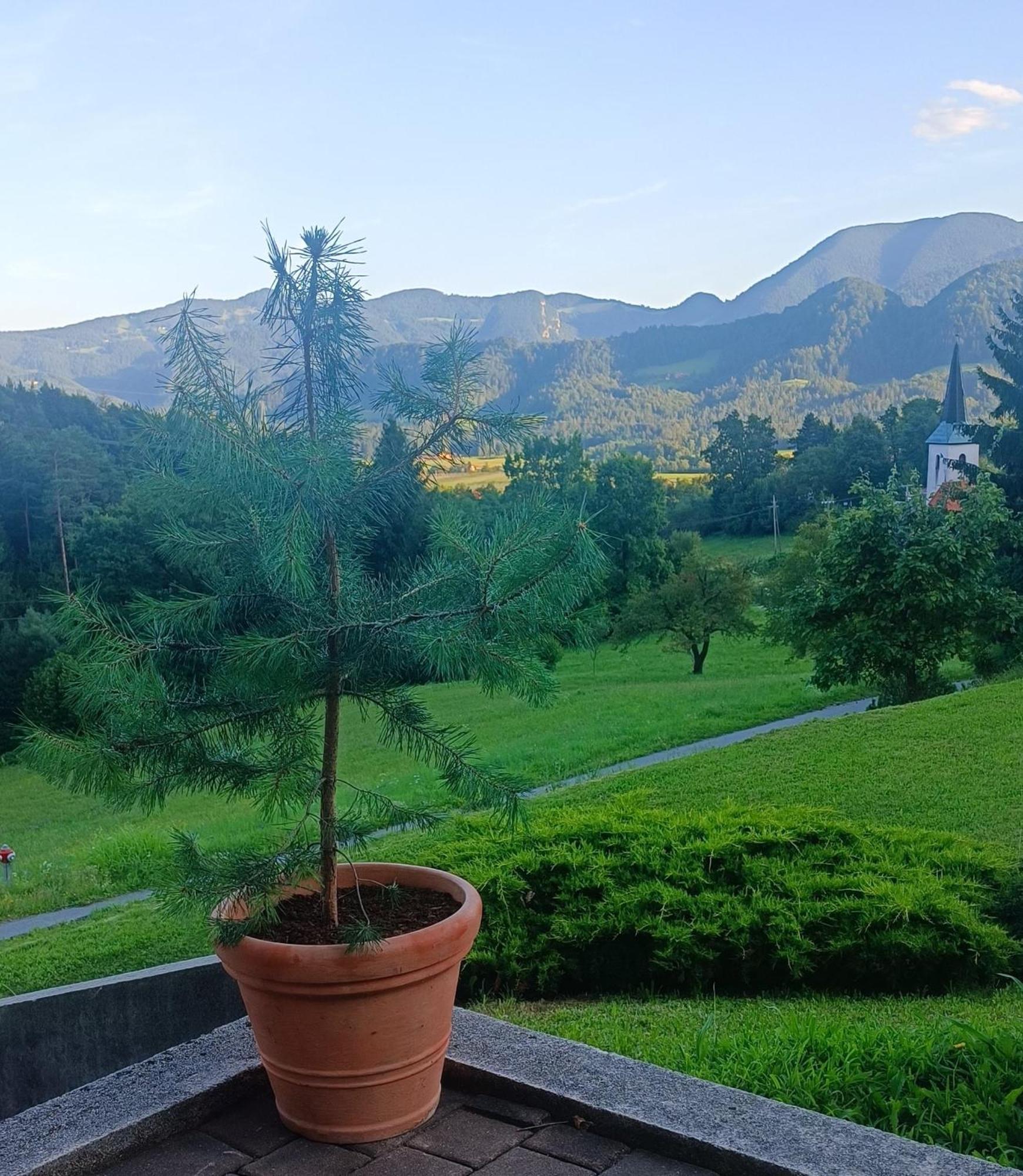 Apartmaji Borstner Vransko ภายนอก รูปภาพ