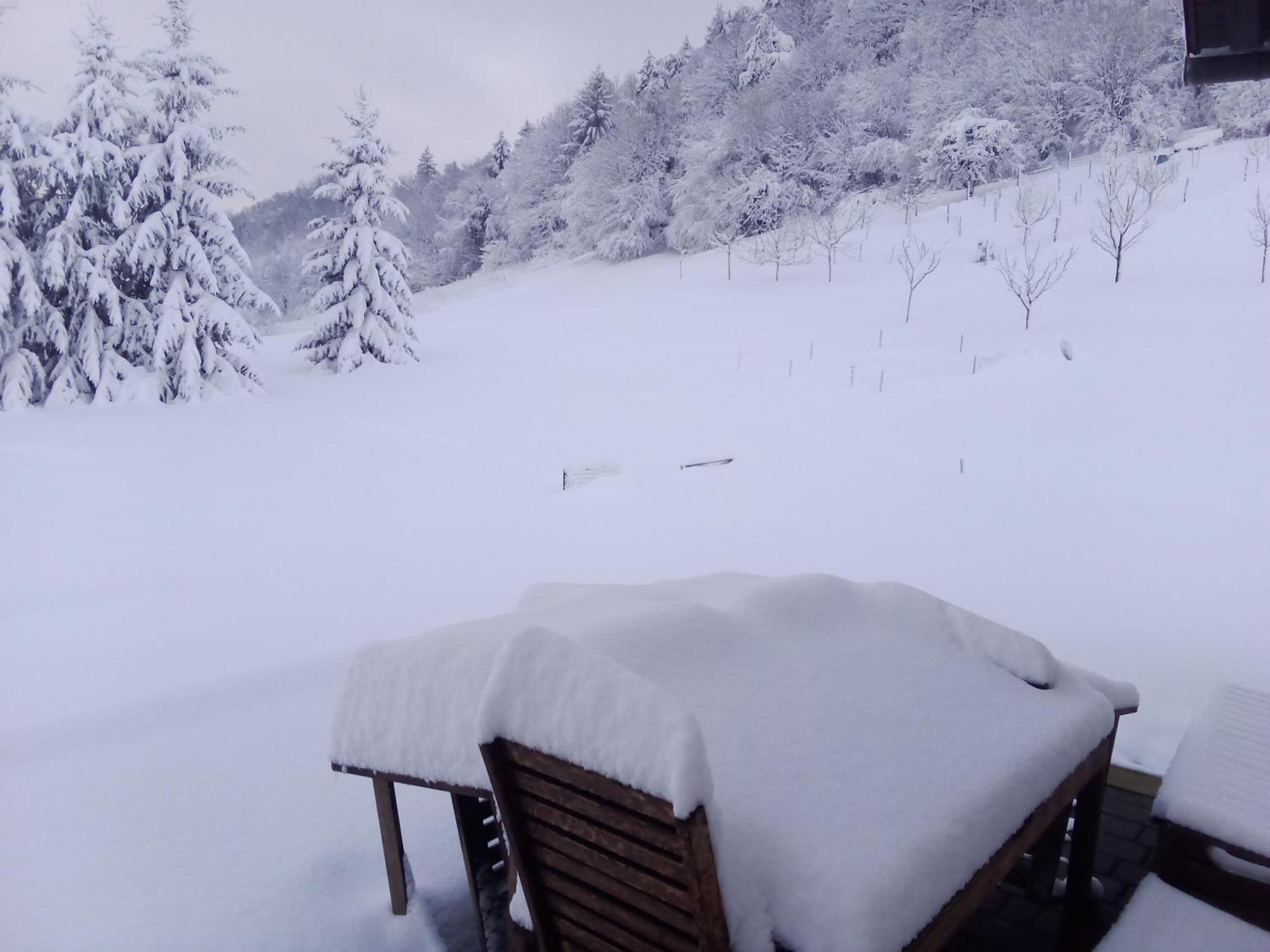 Apartmaji Borstner Vransko ภายนอก รูปภาพ